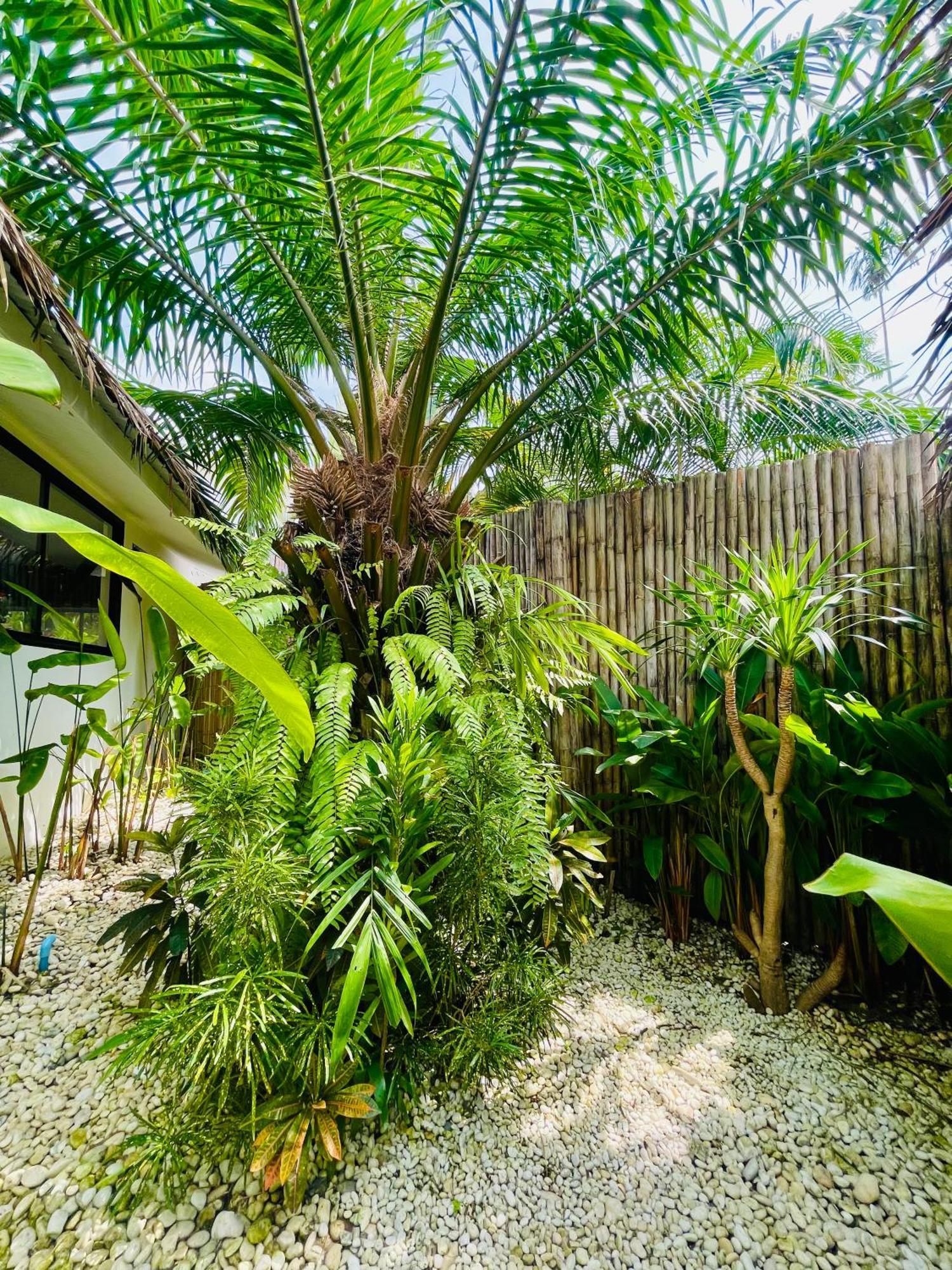 Surya Villa Ko Pha Ngan Exterior photo
