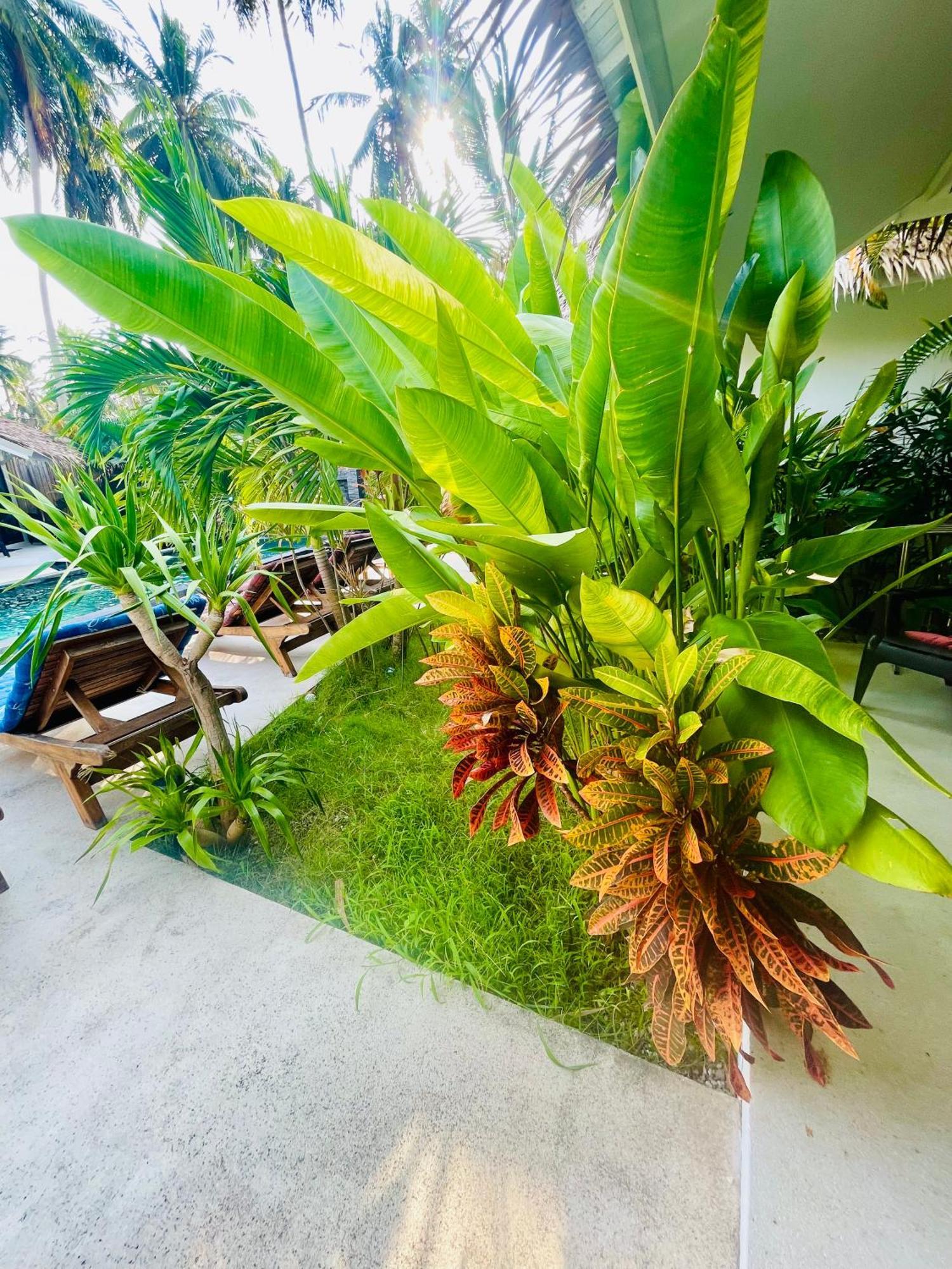 Surya Villa Ko Pha Ngan Exterior photo